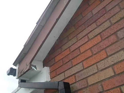 asbestos cement under cloaking copy